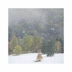 L'Incontro tra le Stagioni L'Incontro tra le Stagioni