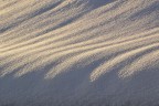 voglia di neve