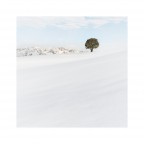 Spazi Montani Spazi Montani