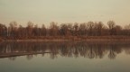 Stasera gli Alberi Piangono Stasera gli Alberi Piangono