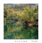 AUTUM AUTUM