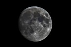 Luna... Luna...