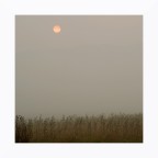 Pallido sole fra la nebbia Pallido sole fra la nebbia