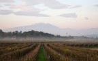 Custoza, dintorni