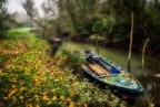 lungo le rive dell'Adige..... lungo le rive dell'Adige.....
