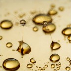 gocce d'oro.. gocce d'oro..