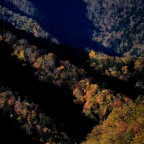 Foresta casentinese _ 2020 Foresta casentinese _ 2020