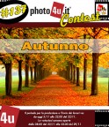 137 Contest: Autunno