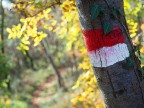 Segnavia del sentiero nel bosco d'autunno