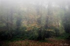 Autunno Autunno