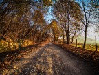 Carrareccia nell'autunno Carrareccia nell'autunno