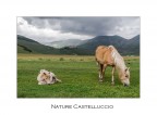 Nature Castelluccio Nature Castelluccio