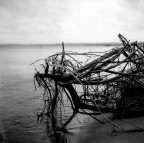 baltic sea baltic sea