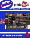 137 Contest Autunno - Ancora 1 giorno per votare... 137 Contest Autunno - Ancora 1 giorno per votare...