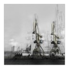 MIGRATORY BIRDS MIGRATORY BIRDS