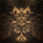 omaggio a Carlos Castaneda omaggio a Carlos Castaneda