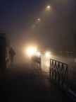 Luci nella nebbia Luci nella nebbia