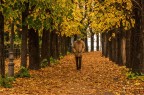 autunno autunno