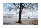 Monfalcone img.017