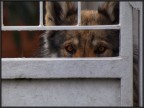 Sguardo Sguardo