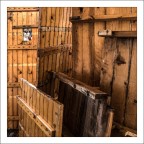 Trova l'intruso Trova l'intruso