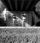 Directions and Perspectives Directions and Perspectives