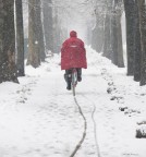 mai fermarsi.... mai fermarsi....