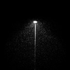 la nevicata notturna la nevicata notturna