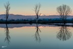 Riflessi.. Riflessi..