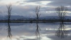 Riflessi 3 Riflessi 3