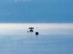 nel blu... nel blu...