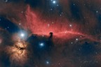 La nebulosa testa di cavallo (IC434) nella costellazione di Orione. L'immagine, ripresa sotto un cielo piuttosto umido e non favorevole,  stata ottenuta con la camera di ripresa ASI 183MC Pro e l'astrografo Celestron RASA 8".