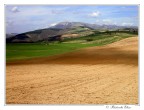 Colline umbre! Colline umbre!