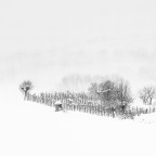 Let it snow! #5 Let it snow! #5