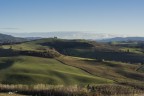 Le colline iniziano a dipingersi di verde..