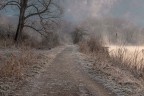 una fredda mattina d'inverno