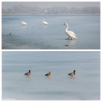Quando il Lago Ghiacciò... Epilogo Quando il Lago Ghiacciò... Epilogo
