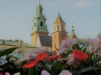 krakw , miasta , wawel 

citt di cracovia , centro , scorcio castello del wawel visto dall'interno