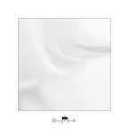 Linee e ombre II Linee e ombre II