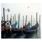 29012020_7R34540-2 29012020_7R34540-2