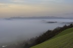 Nebbia al mattino.. Nebbia al mattino..