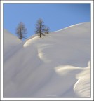 .Silenzio. .Silenzio.