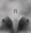 ci osservano ci osservano