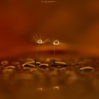 OO con riflesso.. OO con riflesso..