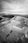 The Cobb