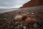 Pebble Beach