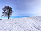 Paesaggi d'inverno