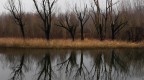 tratti d'inverno