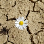 amore sull'arido amore sull'arido