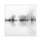 Apettando la primavera Apettando la primavera